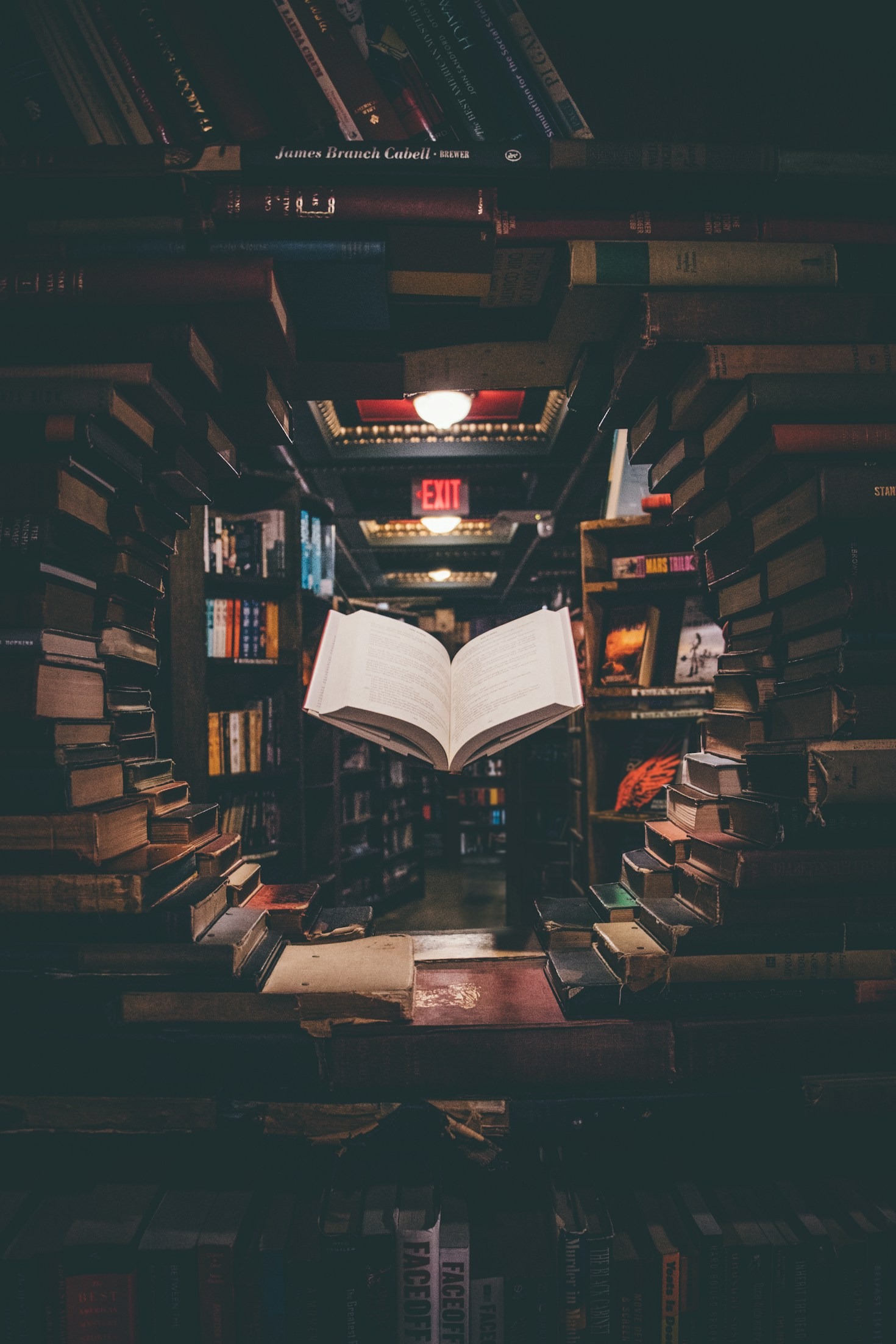 Exploring the World Through Unique Narratives